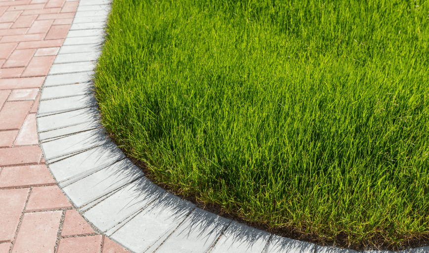 LAWN CARE