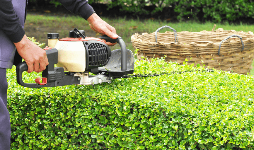 DFJ Landscaping