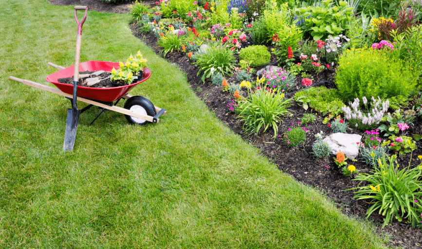 PLANTING SERVICES